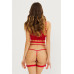 Red Lace Bra Garter Set