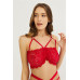 Red Lace Bra Garter Set