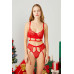 Red Lace Adjustable Transparent Women's Bra Set